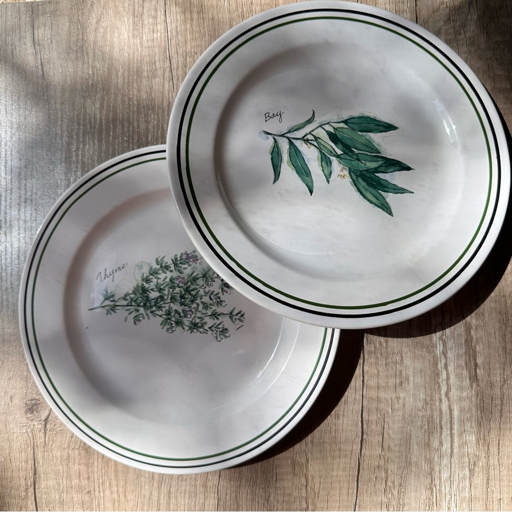 2 Williams Sonoma Culinary Herbs Bay Thyme Salad/Dessert Plates